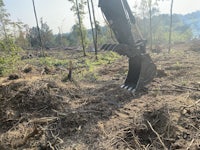 an excavator digging through a forest